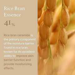 TZEP Rice Cream 50g | For a Glowing Look | Improves Moisture Skin Nourishes Deeply | Skincare