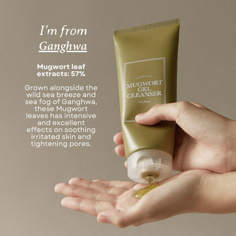🌿 Mugwort Gel Cleanser – Soothing & Purifying Cleanser 💧✨