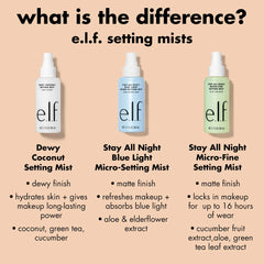 ELF Stay All Night Micro-Fine Setting Mist 80ml